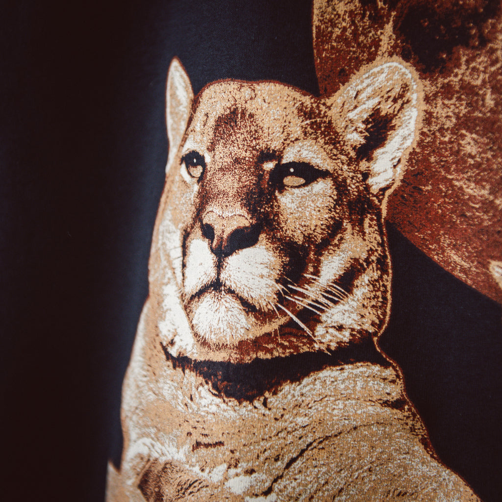 Nebraska Mountain Lion
