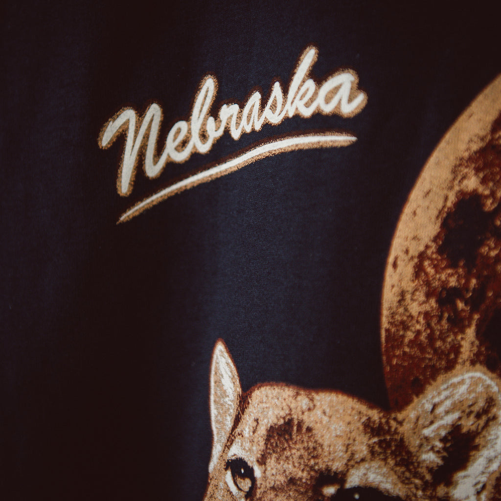 Nebraska Mountain Lion