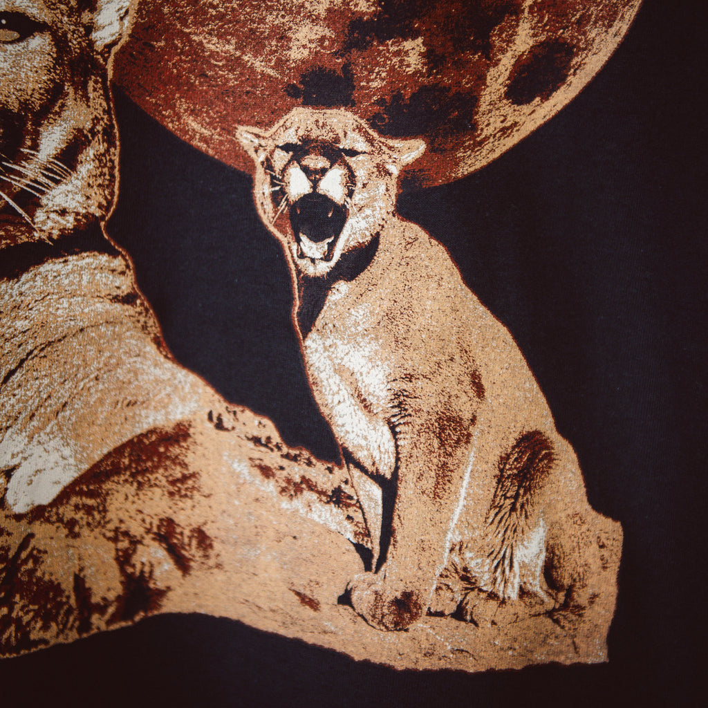Nebraska Mountain Lion