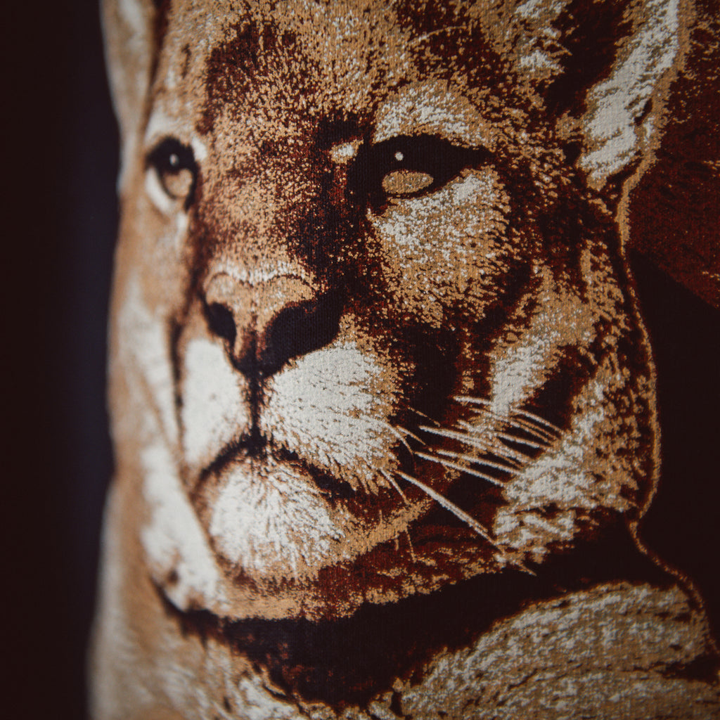 Nebraska Mountain Lion
